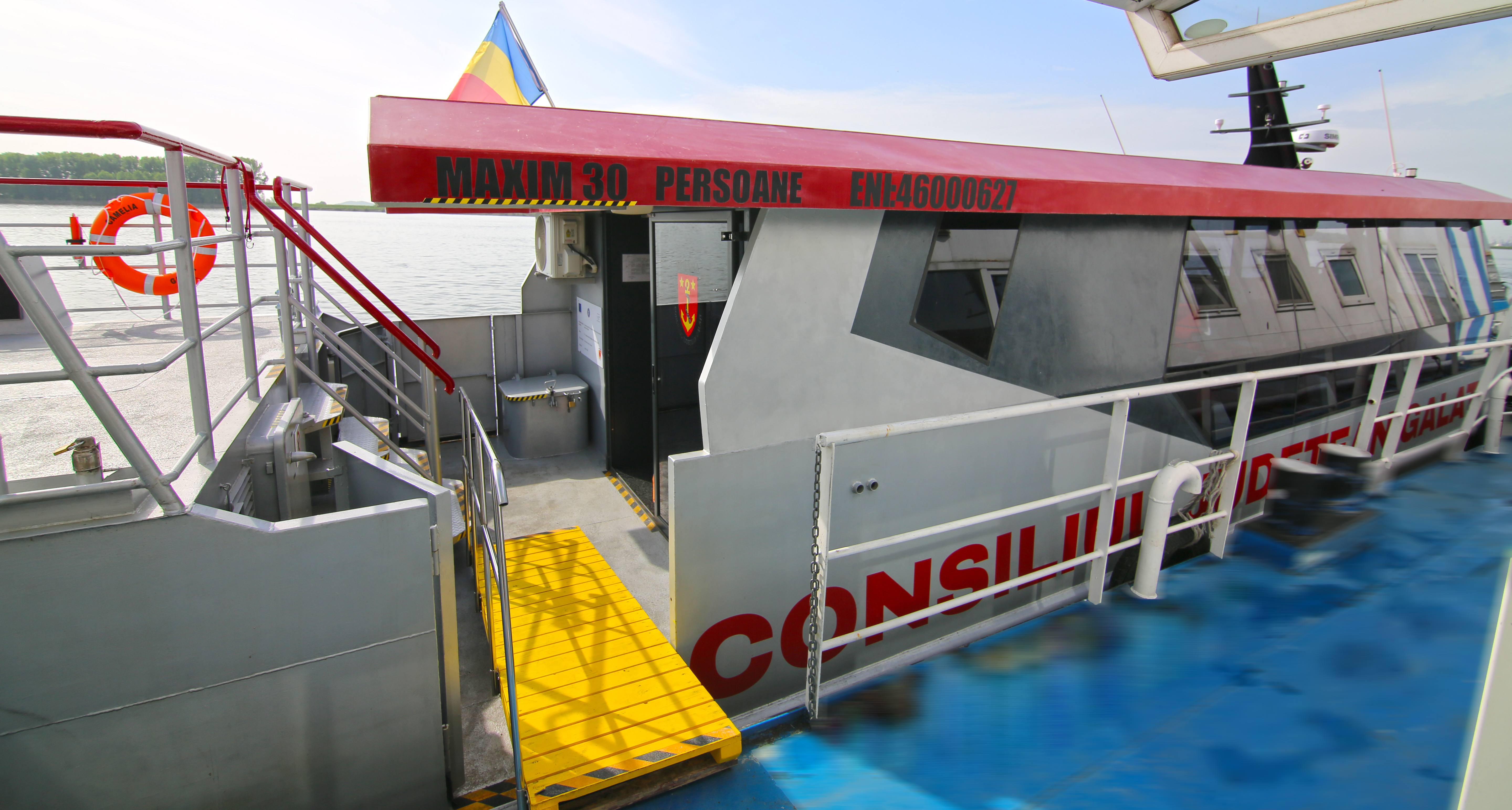 Nava Camelia