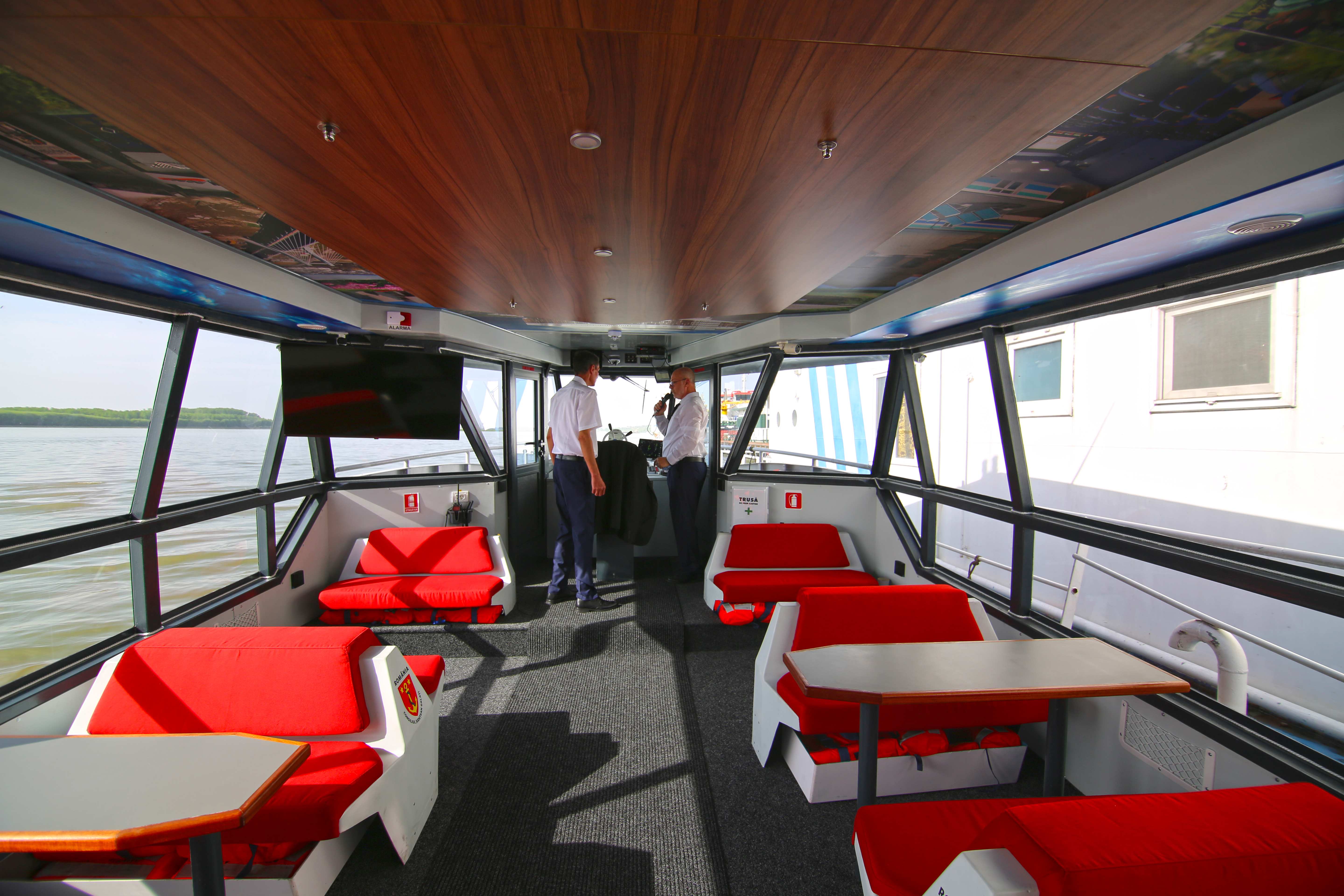 Nava Camelia