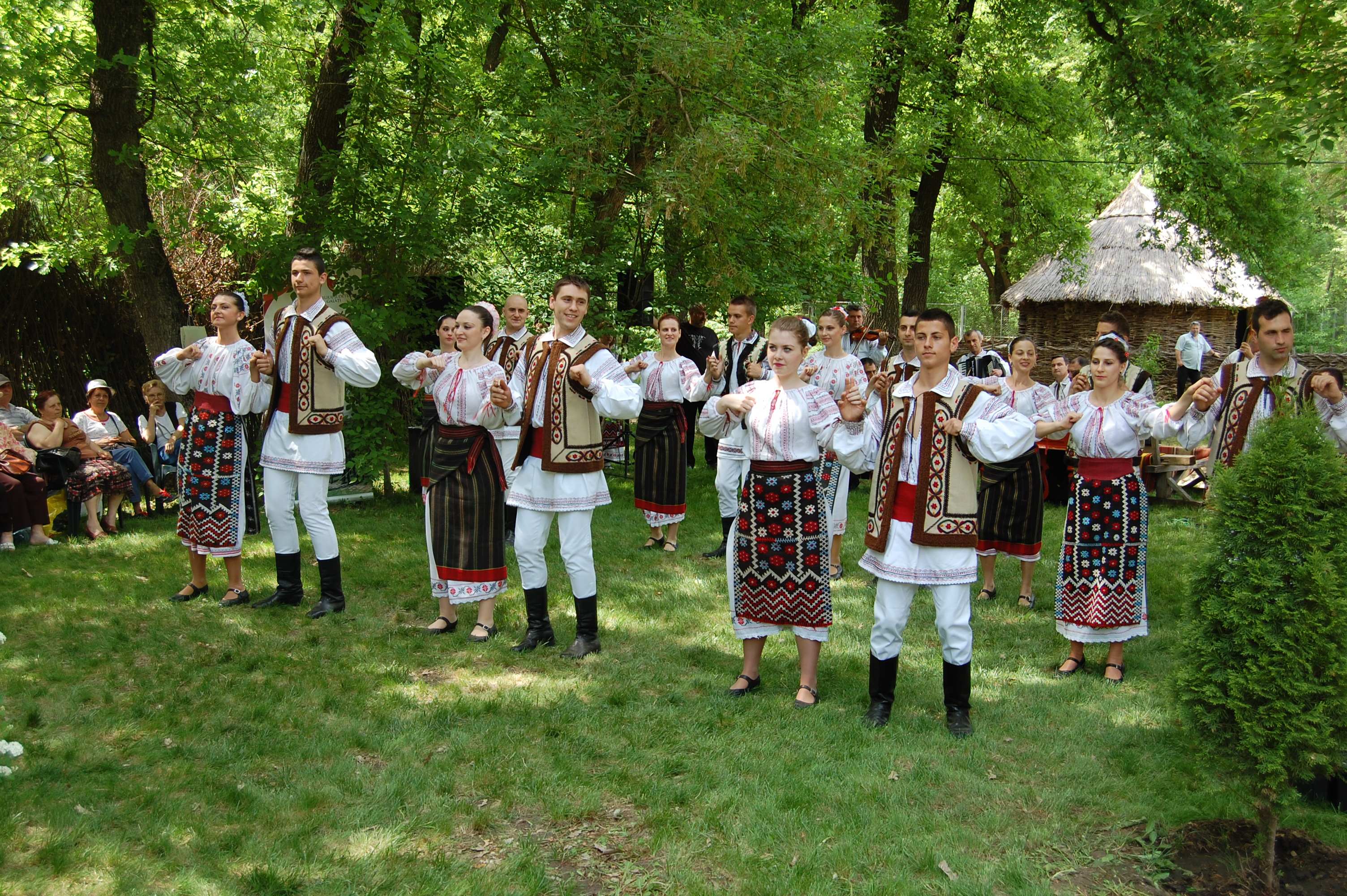 Muzeul Satului "Petru Caraman"